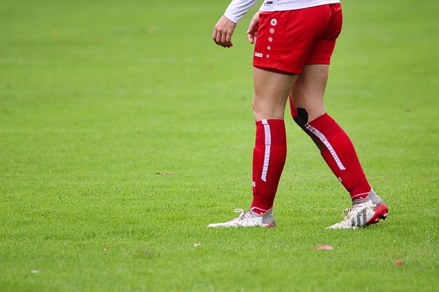 奥运会冠军 奥运会冠军