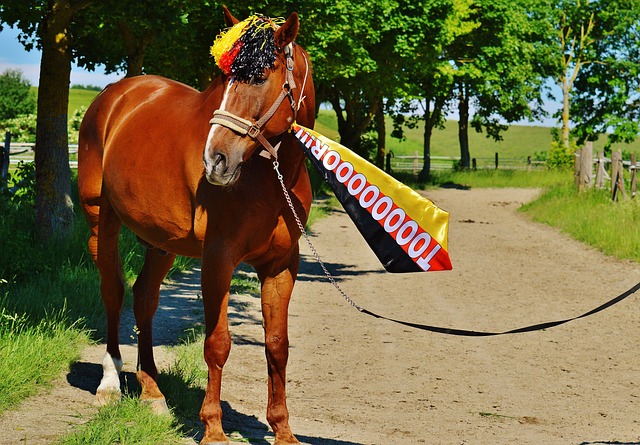 不僅是積分 不僅是積分