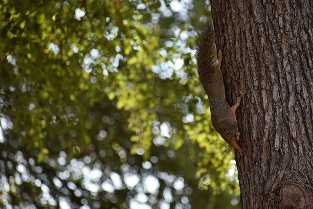 急需重新审 急需重新审