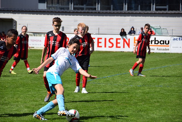 的正式性 的正式性